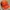 Y2k patrol cap texas weshed colour, Tage from top of theword photo 3