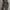 UNIQLO CAMO MILITARY ARMY SHERPA UTILITY BELT LONG PANTS | C