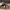 Nike Skater Casual Sneakers white black photo 2