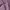Berrybenka lilac midi dress photo 3
