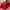 GUESS Bag Merah Putih Totebag Shoulder photo 4