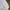 NATIONAL GEOGRAPHIC CASUAL ADVENTURE OUTDOOR WHITE REFLECTIV photo 3