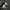 Adidas Indie Casual Sneakers Pria gray photo 7