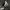 Adidas Indie Casual Sneakers Pria gray photo 6