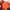Gorpcore Windbreaker Pria navy orange photo 8