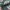 Adidas Indie Casual Sneakers Pria green tan photo 2