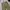 Bobson Vintage Casual Casual pants Pria tan photo 5
