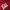 Acne Studios Streetwear Casual Sweatshirt Pria red photo 3