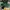Nego Preloved Boheme Hobo green Authentic
 photo 4