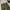Vintage Casual Casual pants Pria green photo 5