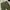 Vintage Casual Casual pants Pria green photo 4