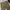 Bobson Vintage Casual Casual pants Pria tan photo 5
