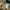 Bobson Vintage Casual Casual pants Pria tan photo 7