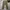 Bobson Vintage Casual Casual pants Pria tan photo 1