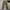 Bobson Vintage Casual Casual pants Pria tan photo 3