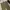 Bobson Vintage Casual Casual pants Pria tan photo 4