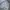 Hoodie New Era Patriots NFL photo 4
