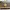 Louis Vuitton Vintage Y2K Shoulder bag Wanita tan brown photo 3