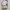 Burberry Vintage Y2K Shoulder bag Wanita black cream photo 1