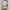 Burberry Vintage Y2K Shoulder Bag Wanita Black Cream