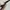 Burberry Vintage Y2K Shoulder bag Wanita black cream photo 6