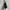 Chanel Luxury Minimalist Handbag Wanita black photo 3