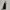 Chanel Luxury Minimalist Handbag Wanita black photo 4