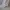 Luxury Muslim Maxi dress Wanita silver photo 2