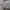Luxury Muslim Maxi dress Wanita silver photo 4