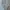 Luxury Muslim Maxi dress Wanita silver photo 1