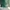 Christy Ng Alesso Medium Green