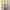 Pokemon Official Tee Pikachu Charmander Squirtle Bulbasaur photo 2