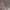 Y2K TBJ DOUBLE LAYER  GRUNGE photo 8