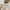 Bershka Casual Crop top Wanita multicolor photo 3