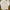 Bershka Casual Crop top Wanita multicolor photo 2