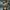 Vintage Sting Oversized Sunglasses photo 10