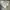 Vintage Dickies 874 khakis pants photo 5