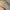 Adidas Yeezy 350 v2 Beluga 2 0 photo 3