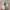 Adidas Yeezy 350 v2 Beluga 2 0 photo 6