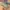 Adidas Yeezy 350 v2 Beluga 2 0 photo 2