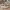 Adidas Yeezy 350 V2 Sand Taupe 2 0
