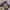 Kobe Bryant 63*46 Lakers Black Mamba