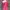graphic pink grunge alt photo 5