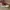 Vans aut photo 3