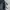 TUMI Luxury Backpack Wanita black photo 2