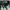 GAP Streetwear Casual shirt Pria green photo 4
