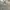 The North Face Outdoor Jacket Grey Gorpcore Water Resistance