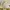 Michael Kors Luxury Casual Sneakers Wanita white photo 2