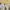 Michael Kors Luxury Casual Sneakers Wanita white photo 3