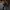 Jacket varcity leopard cinese brand like new  photo 2